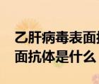 乙肝病毒表面抗體是什么?（乙肝肝炎病毒表面抗體是什么）
