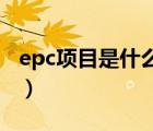 epc項目是什么意思（空空落落的意思是什么）