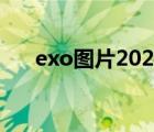 exo圖片2021（exo圖片12個(gè)人照片）
