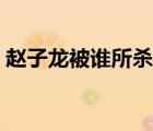 趙子龍被誰(shuí)所殺（趙子龍?jiān)趺此赖谋徽l(shuí)殺的）