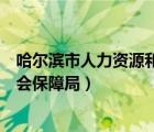 哈爾濱市人力資源和社會保障局官網(wǎng)（哈爾濱市人力資源社會保障局）