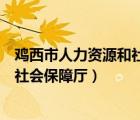 雞西市人力資源和社會保障局官方網(wǎng)站（雞西市人力資源和社會保障廳）
