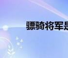 驃騎將軍是干什么的（驃騎將軍）