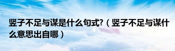 豎子不足與謀是什么句式?（豎子不足與謀什么意思出自哪）