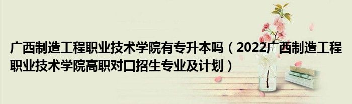 廣西制造工程職業(yè)技術學院有專升本嗎（2022廣西制造工程職業(yè)技術學院高職對口招生專業(yè)及計劃）