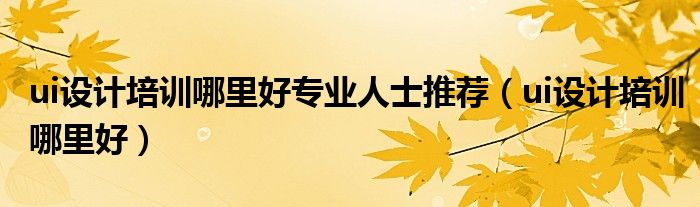 ui設(shè)計培訓(xùn)哪里好專業(yè)人士推薦（ui設(shè)計培訓(xùn)哪里好）