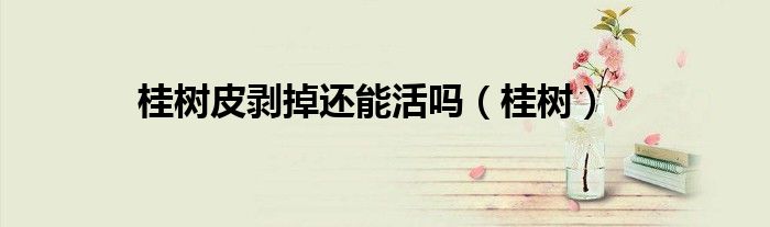 桂樹皮剝掉還能活嗎（桂樹）