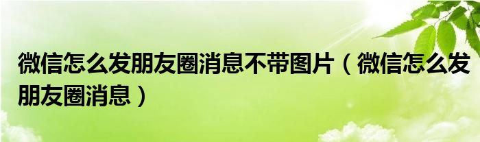 微信怎么發(fā)朋友圈消息不帶圖片（微信怎么發(fā)朋友圈消息）