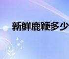 新鮮鹿鞭多少錢一根（鹿鞭多少錢一根）
