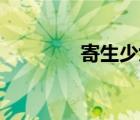 寄生少女（14歲少女洞洞）