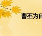 曹丕為何只活了39歲（曹丕）