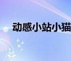 動感小站小貓超清觀看（動感小站小貓）