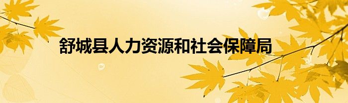 舒城縣人力資源和社會(huì)保障局