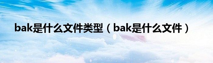 bak是什么文件類型（bak是什么文件）