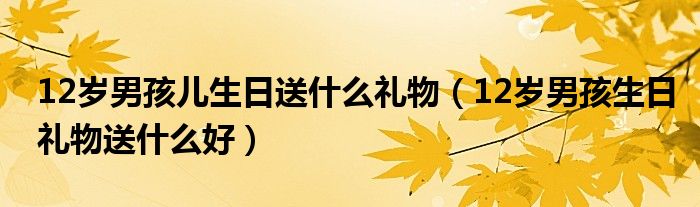 12歲男孩兒生日送什么禮物（12歲男孩生日禮物送什么好）