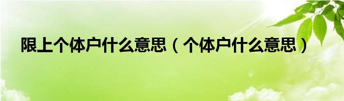 限上個體戶什么意思（個體戶什么意思）