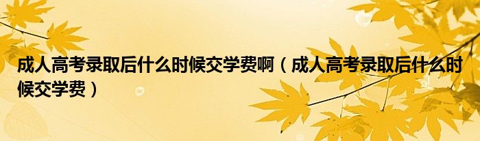 成人高考錄取后什么時候交學(xué)費(fèi)?。ǔ扇烁呖间浫『笫裁磿r候交學(xué)費(fèi)）