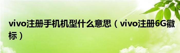 vivo注冊(cè)手機(jī)機(jī)型什么意思（vivo注冊(cè)6G徽標(biāo)）