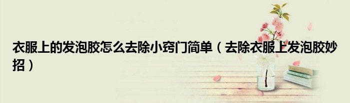 衣服上的發(fā)泡膠怎么去除小竅門簡單（去除衣服上發(fā)泡膠妙招）