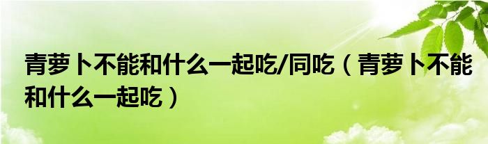 青蘿卜不能和什么一起吃/同吃（青蘿卜不能和什么一起吃）