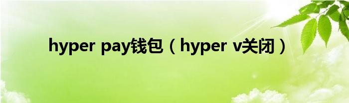 hyper pay錢包（hyper v關(guān)閉）