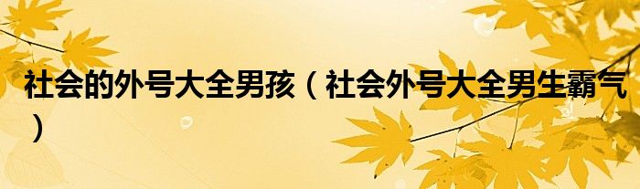 社會(huì)的外號(hào)大全男孩（社會(huì)外號(hào)大全男生霸氣）