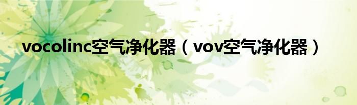 vocolinc空氣凈化器（vov空氣凈化器）