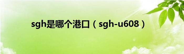 sgh是哪個(gè)港口（sgh-u608）