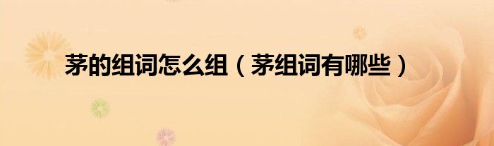 茅的組詞怎么組（茅組詞有哪些）