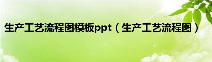 生產(chǎn)工藝流程圖模板ppt（生產(chǎn)工藝流程圖）