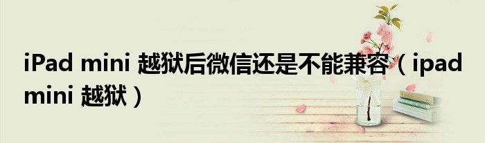 iPad mini 越獄后微信還是不能兼容（ipad mini 越獄）
