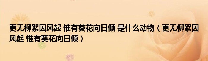 更無柳絮因風(fēng)起 惟有葵花向日傾 是什么動物（更無柳絮因風(fēng)起 惟有葵花向日傾）