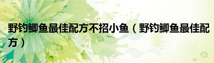 野釣鯽魚最佳配方不招小魚（野釣鯽魚最佳配方）
