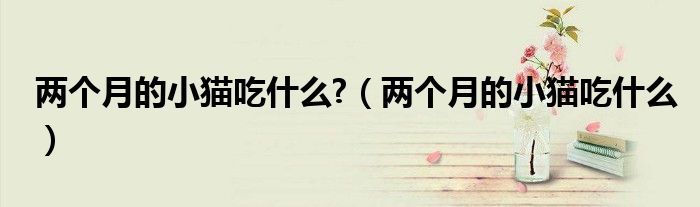 兩個(gè)月的小貓吃什么?（兩個(gè)月的小貓吃什么）