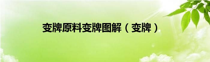 變牌原料變牌圖解（變牌）