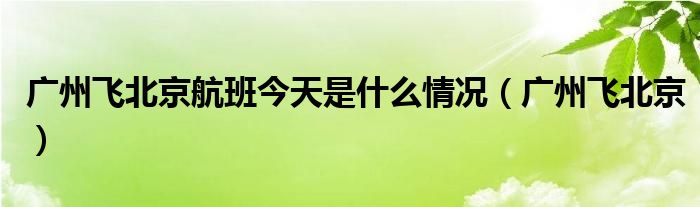 廣州飛北京航班今天是什么情況（廣州飛北京）
