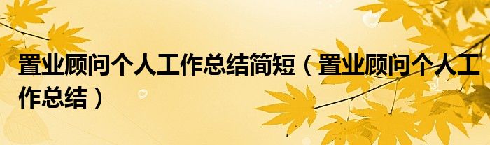 置業(yè)顧問個人工作總結簡短（置業(yè)顧問個人工作總結）