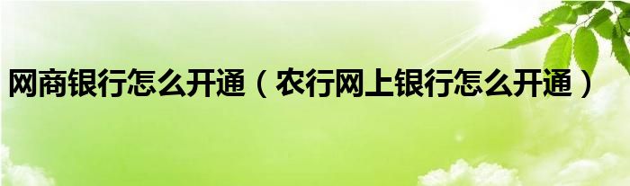 網(wǎng)商銀行怎么開(kāi)通（農(nóng)行網(wǎng)上銀行怎么開(kāi)通）