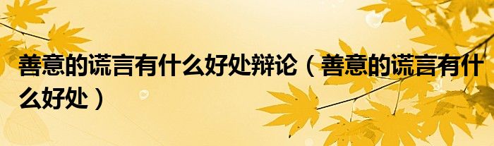 善意的謊言有什么好處辯論（善意的謊言有什么好處）