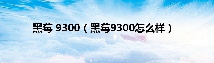 黑莓 9300（黑莓9300怎么樣）