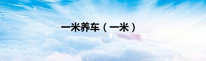 一米養(yǎng)車（一米）