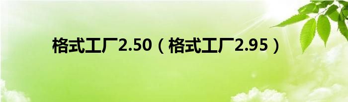 格式工廠2.50（格式工廠2.95）