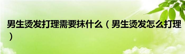 男生燙發(fā)打理需要抹什么（男生燙發(fā)怎么打理）
