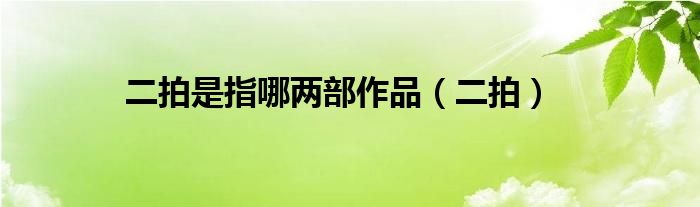 二拍是指哪兩部作品（二拍）