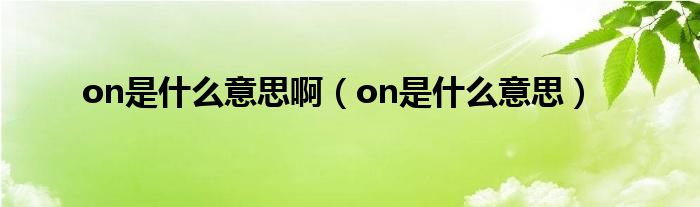 on是什么意思?。╫n是什么意思）