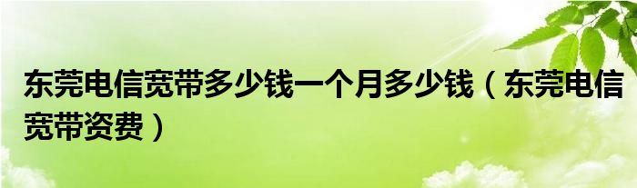 東莞電信寬帶多少錢一個月多少錢（東莞電信寬帶資費）