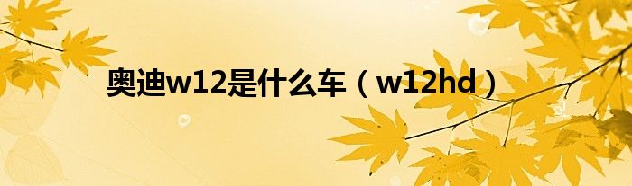 奧迪w12是什么車（w12hd）