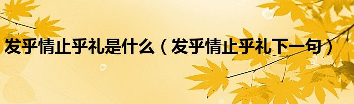 發(fā)乎情止乎禮是什么（發(fā)乎情止乎禮下一句）