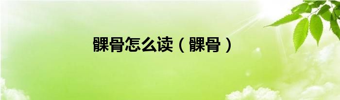 髁骨怎么讀（髁骨）