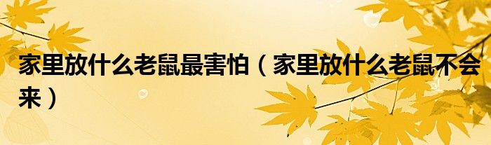 家里放什么老鼠最害怕（家里放什么老鼠不會(huì)來）
